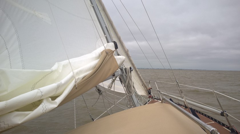 WP_20160608_09_09_38_Pro[1]