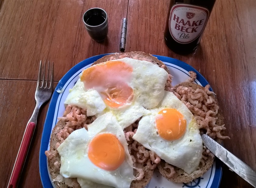 WP_20160608_18_31_44_Pro_(3)[1]