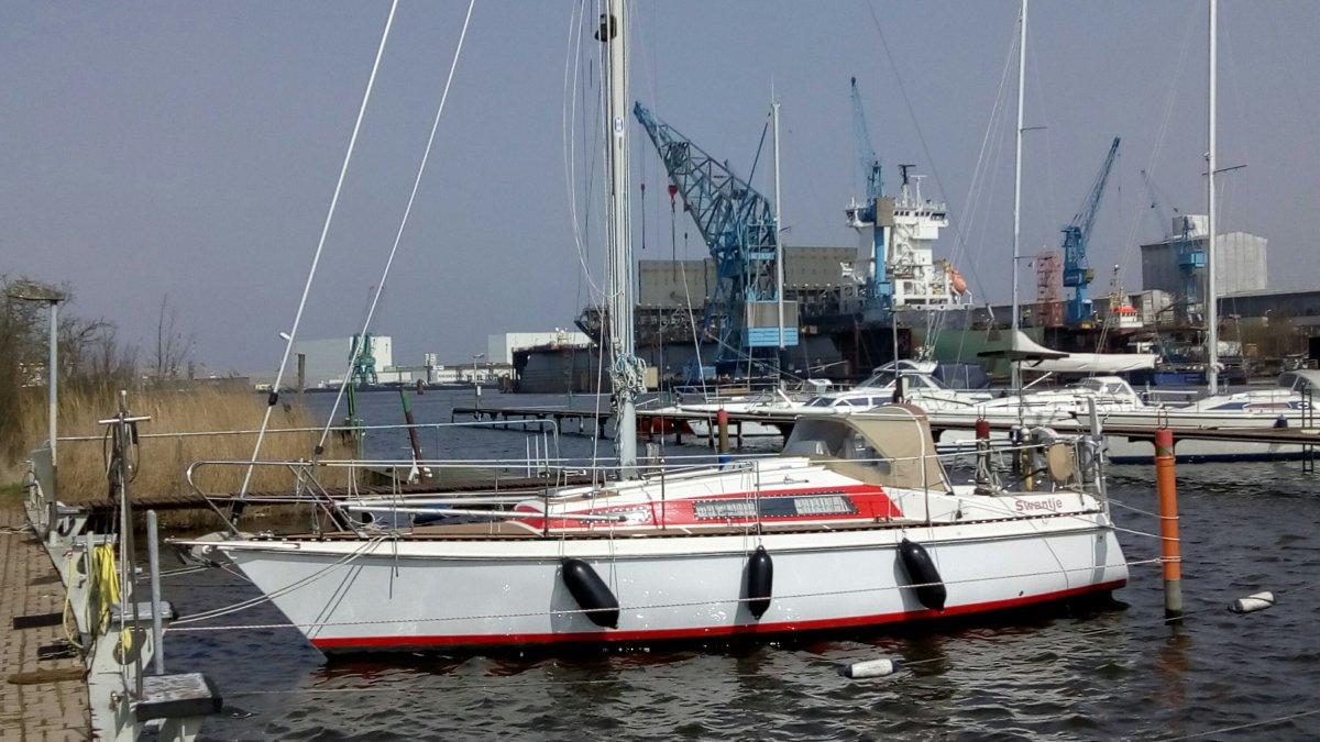 In die Saison 2018&nbsp;gestartet