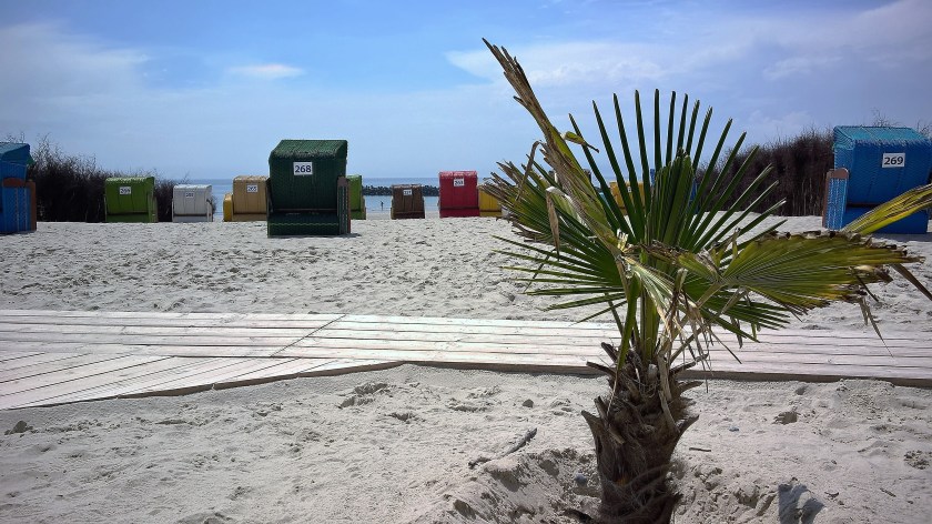 WP_20160615_12_57_36_Pro (3)