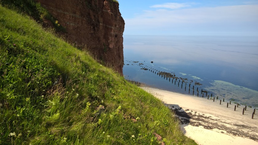 WP_20160615_14_51_58_Pro