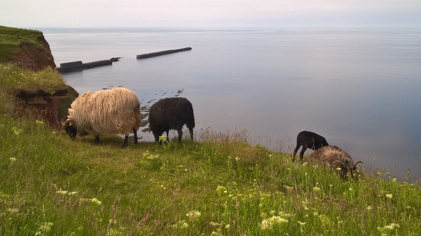 WP_20160615_15_14_09_Pro