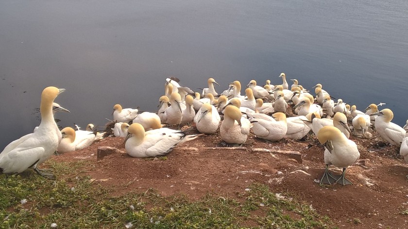 WP_20160615_15_22_30_Pro