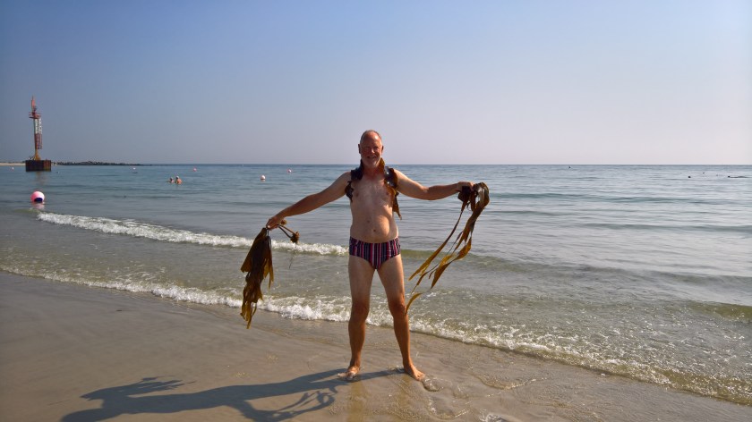 WP_20160907_13_38_22_Pro