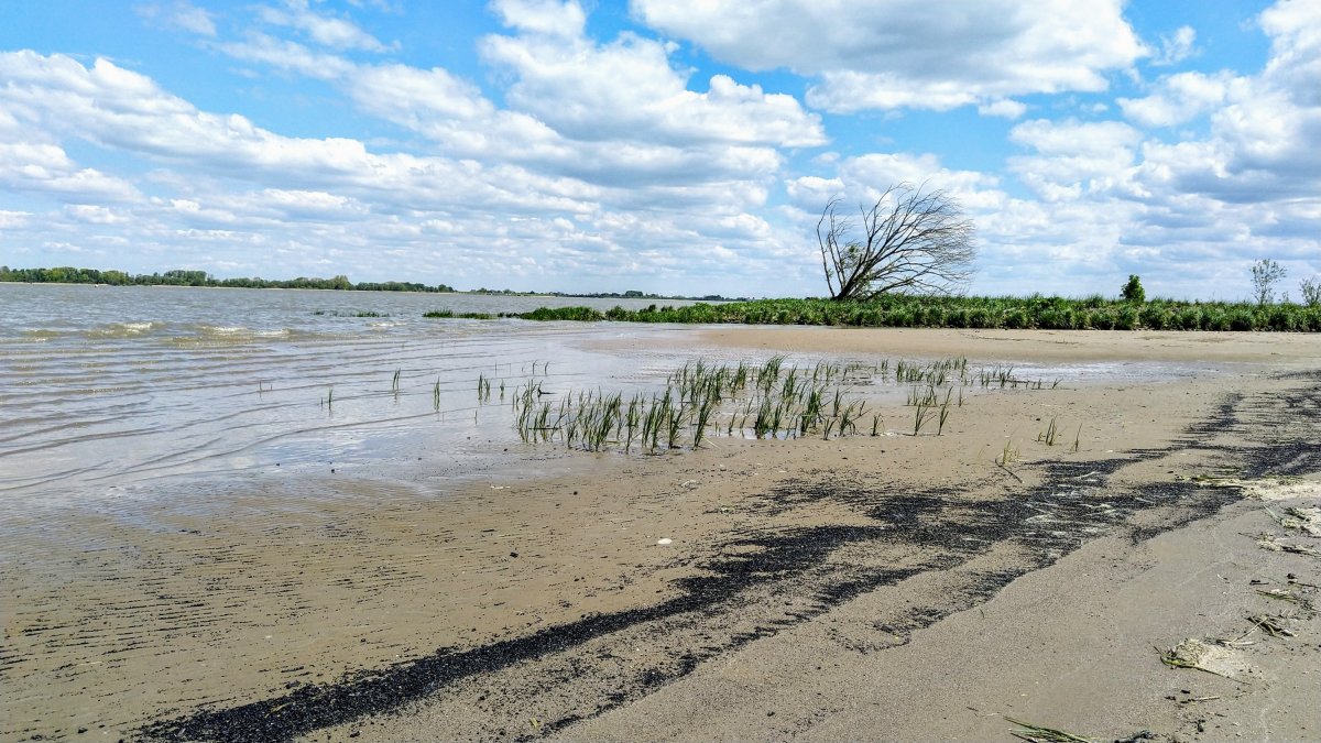 Land-Yachting: Krautsand