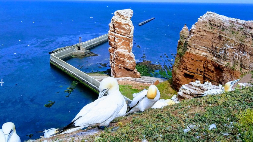 img_20190625_104933-effects