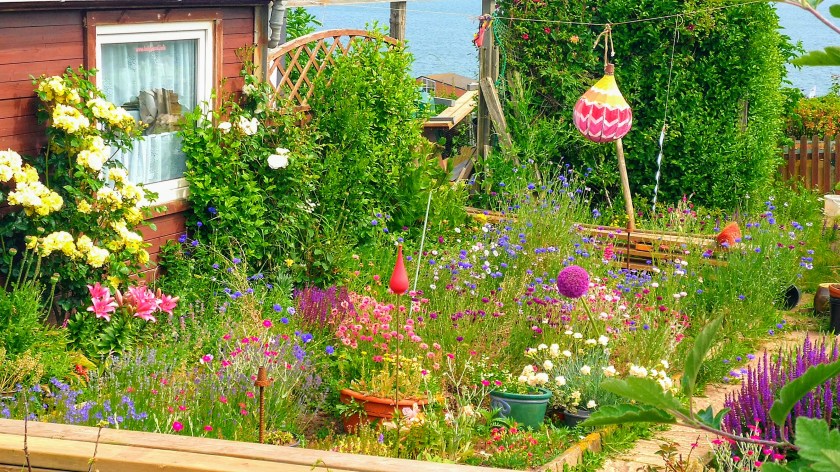 img_20190625_111814-effects