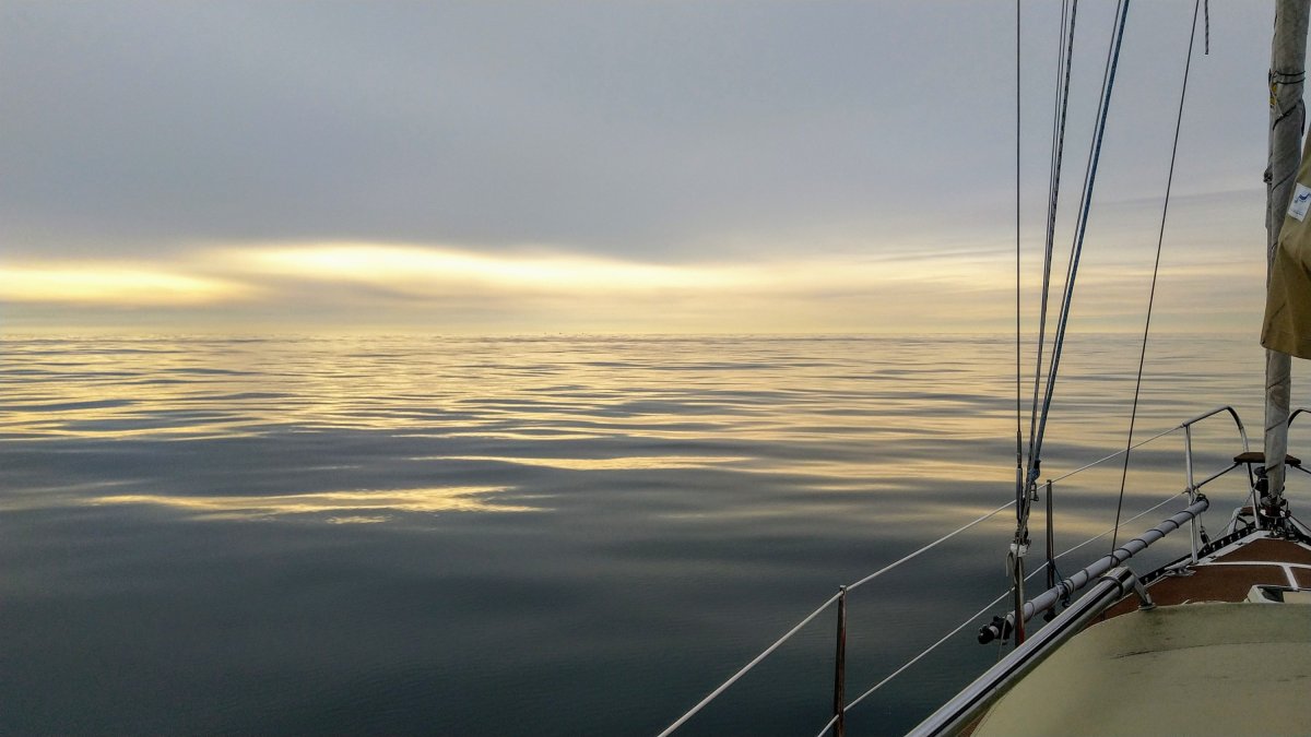 Von Helgoland heimwärts