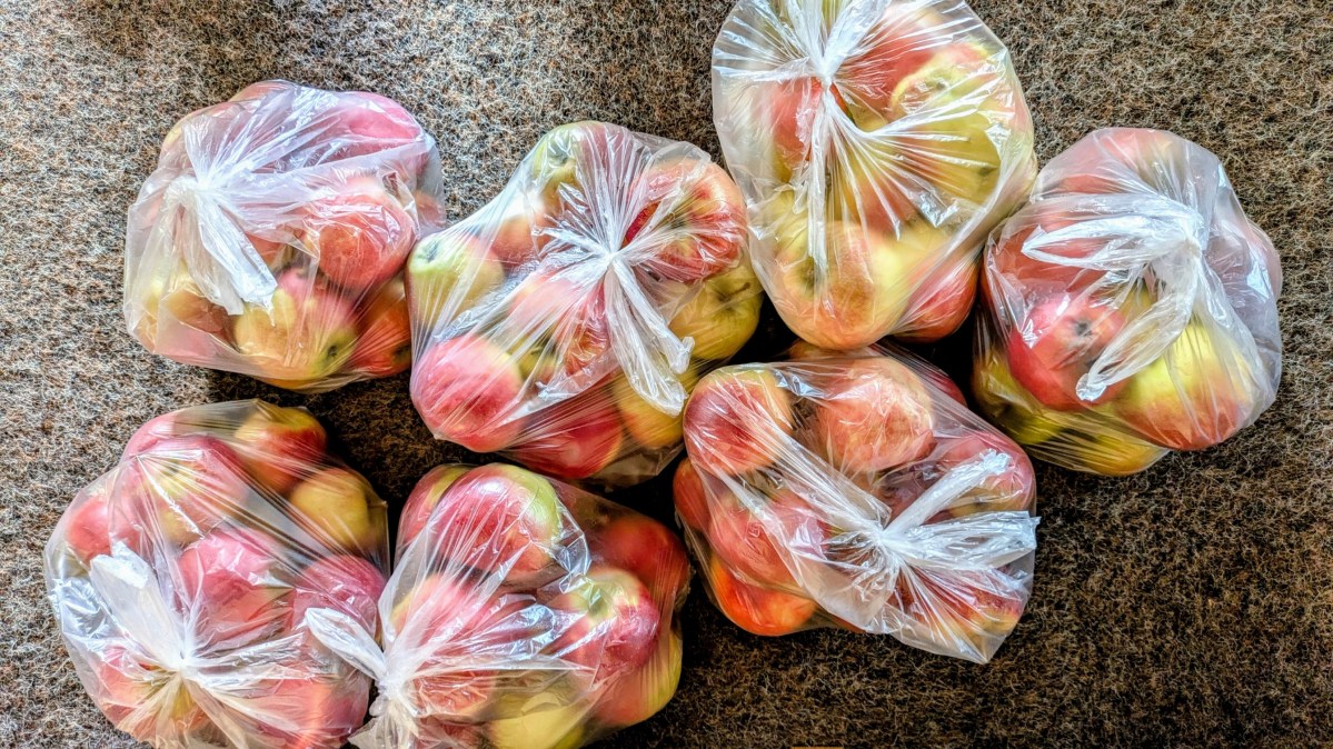 Saison fast zu Ende – Minerva bleibt im&nbsp;Wasser